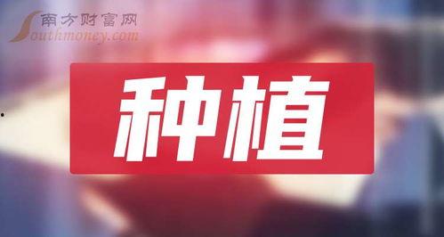 平江最新爆料新闻报道图片,揭秘事件背后惊人真相 第3张 平江最新爆料新闻报道图片,揭秘事件背后惊人真相 第3张